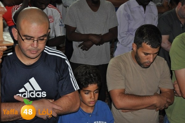 trawe7 mahmodiya 713 (33).JPG